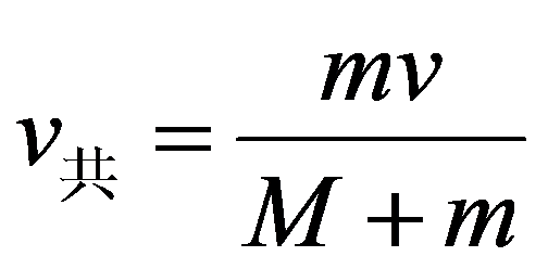 公式