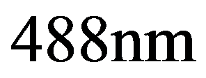 公式