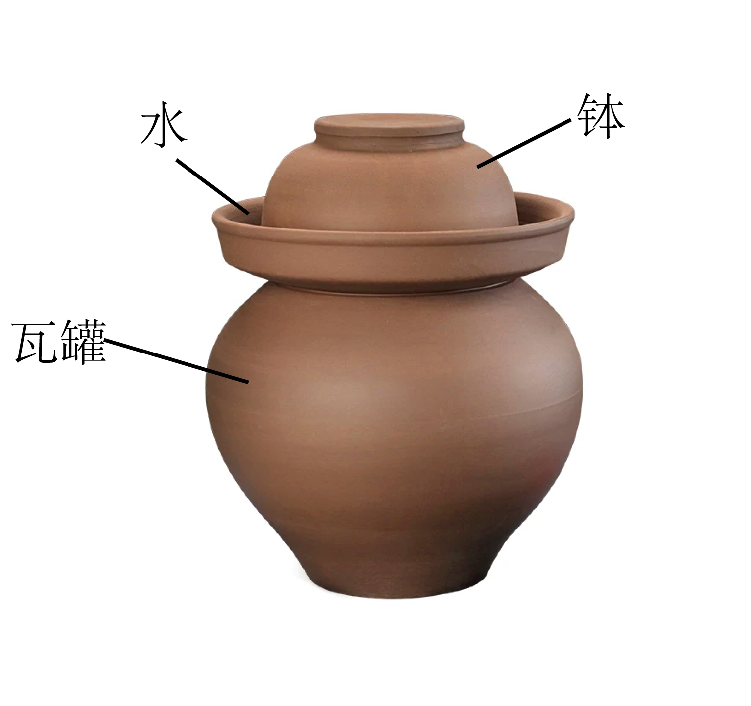 图
