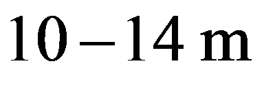 公式