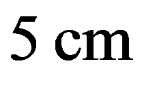 公式