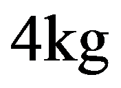 公式