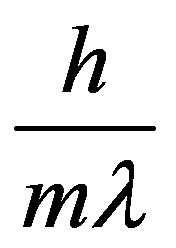 公式