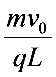公式