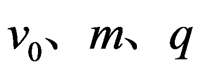 公式