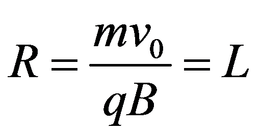 公式