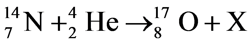 公式